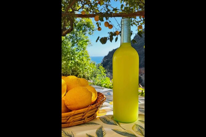 Authentic Amalfi Lemon Tour & Tasting in the Historical Garden - Is $49.48 a fair price?