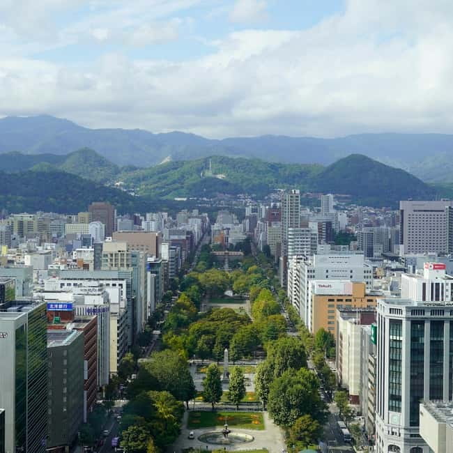 Authentic Sapporo: Nijo Market Seafood Lunch & History Tour - What the guides add to the morning