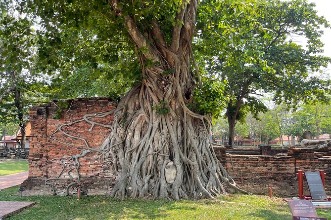 Ayutthaya Historical Old Capital day Tour from Bangkok - Wat Yai Chai Mongkol and its rows of Buddha images
