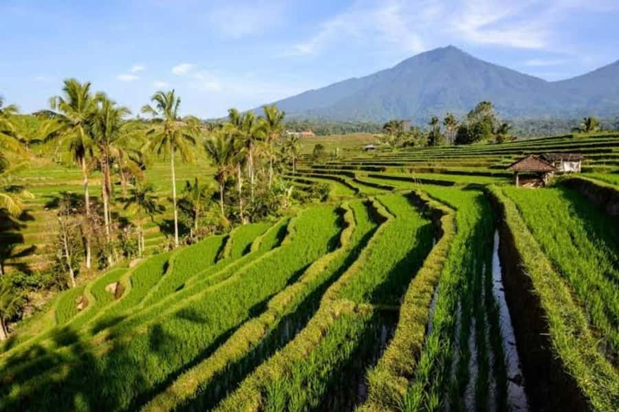 Bali: Private UNESCO World Heritage Sites Tour - Why this route works for a first full day