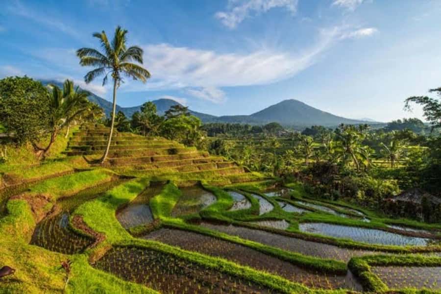 Bali: Private UNESCO World Heritage Sites Tour - Who should book this Bali tour?