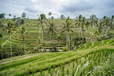 Bali: Tanah Lot UNESCO World Heritage Sites Full-Day Tour