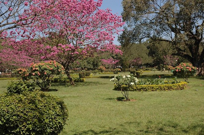 Bangalore Heritage and Cultural Walking Tour - Key things to know before booking