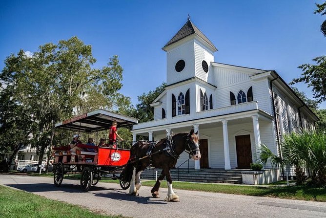 Beaufort’s #1 Horse & Carriage History Tour - Meet the horses: D, Amos, Angus, and friends