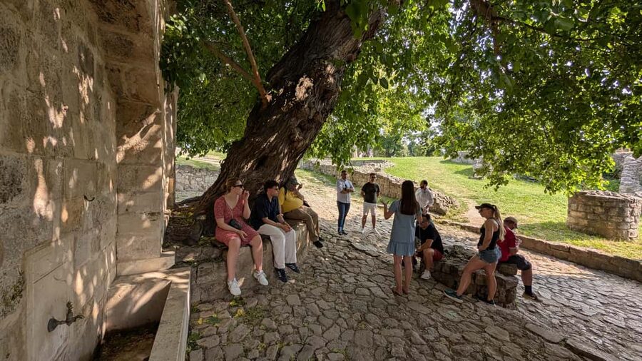 Belgrade: 3-Hour Serbian History Walking Tour - Price, practical details, and who should book