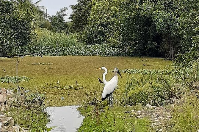 Belize City Culture, Nature, Rum tasting, V.i.V. - What this Belize City tour is really like