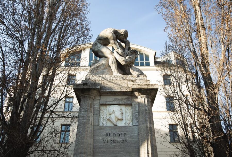 Berlin: Berlin Charité Guided History Tour - Who Will Enjoy This Tour Most