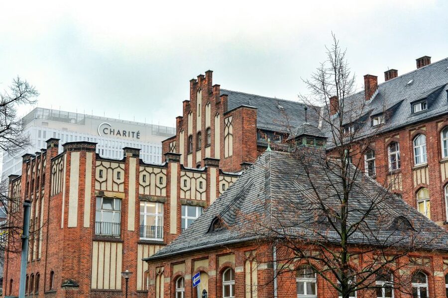 Berlin: Charité Hospital Walking Tour of Medical History - What the guide adds to the experience