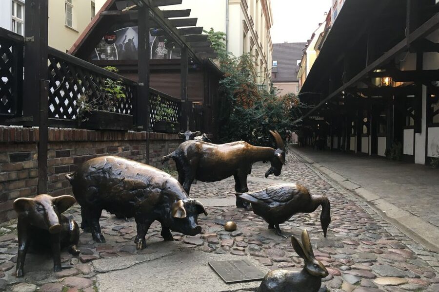 Best of Wroclaw 3-Hour History and Culture Walking Tour - Walking the medieval streets toward the university