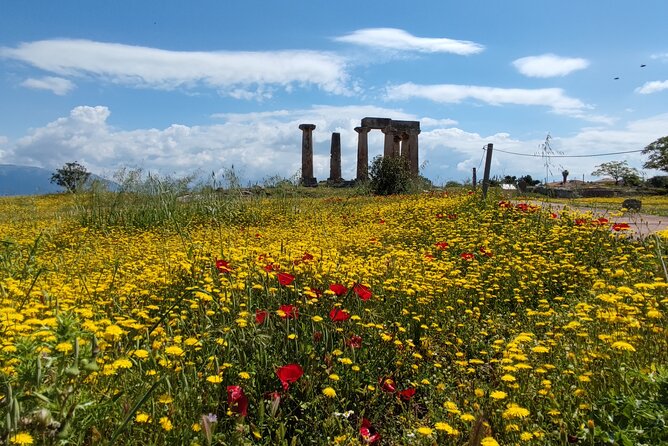 Biblical Corinth Taste Faith & History with wine & Oil Tasting - Isthmia and Saint Paul’s world