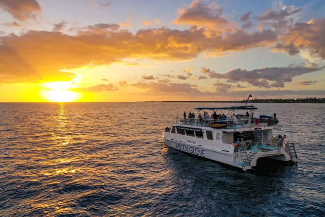 Big Island Historical Dinner Cruise to Kealakekua Bay - Leaving Kailua Pier at 4 p.m.