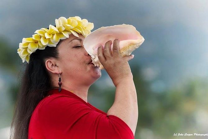 Big Island Historical Dinner Cruise to Kealakekua Bay - Kealakekua Bay and the Captain Cook Monument