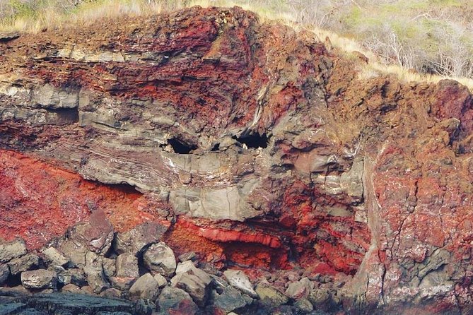 Big Island Historical Dinner Cruise to Kealakekua Bay - Who will enjoy this cruise most?