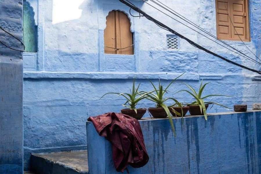 Blue City Heritage Walking Tour With Pick Up & Drop Off - What the guide adds to the experience