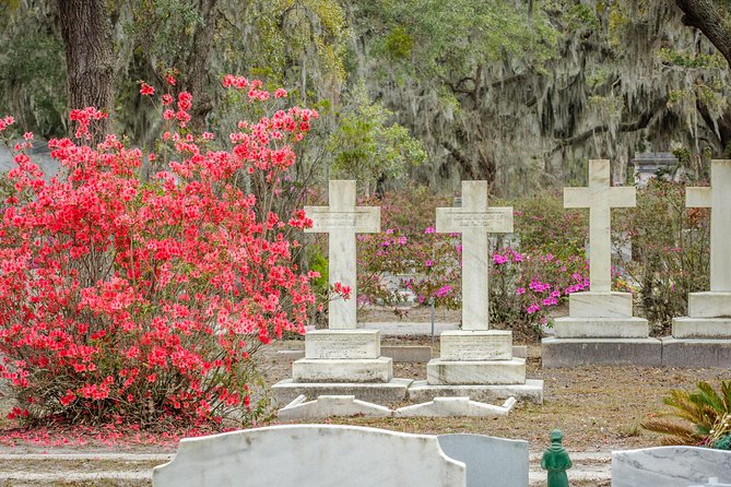 Bonaventure Cemetery & Wormsloe State Historic Site Tour - Walking, weather, and the bus matter