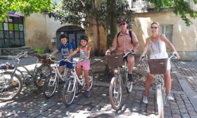 Bordeaux: Top Landmarks & Historic Bike Tour