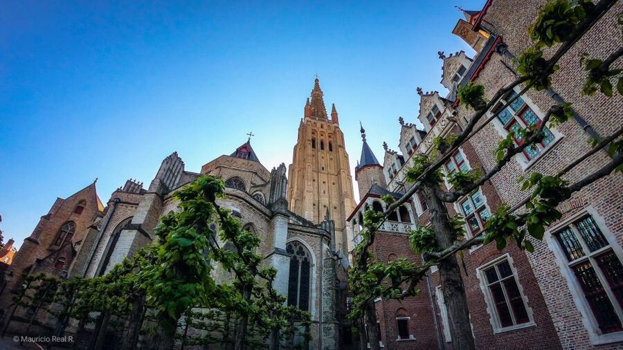 Bruges: Private Historical Highlights Walking Tour - Half Moon Brewery and the working city