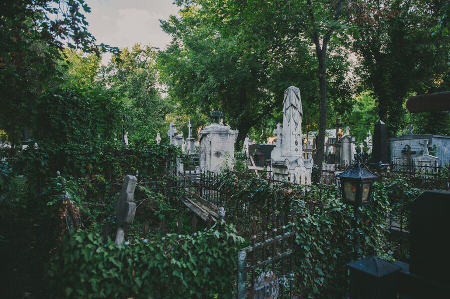 Bucharest: 3-Hour Dark History Tour with a Local - Little Paris, brothels, and the Vampire of Bucharest