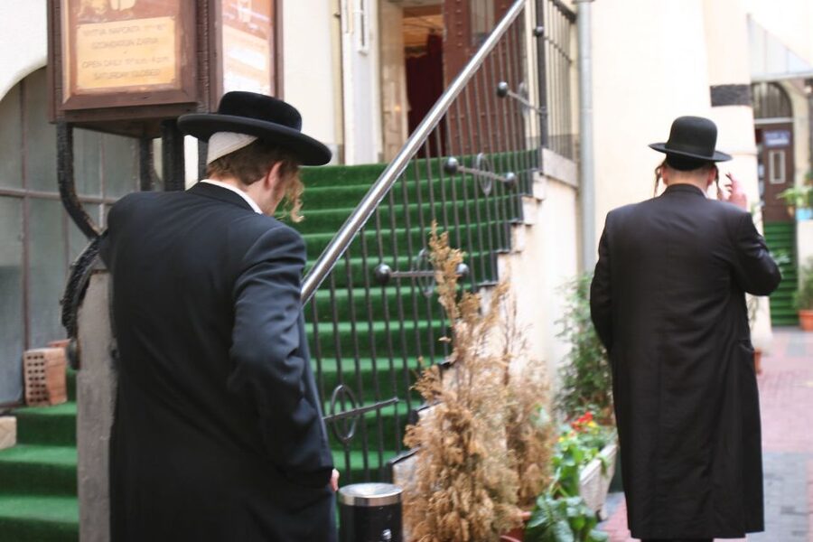 Budapest: Jewish Heritage Guided Tour with Synagogue Ticket - Holocaust Cemetery, Tree of Life, and Heroes’ Temple