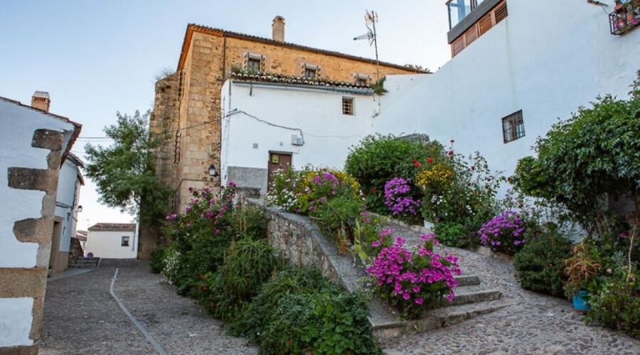 Caceres: Highlights, History and Jewish Quarter Walking Tour - Starting beside the tourist information office