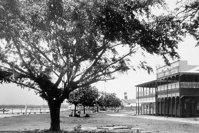 Cairns History Walking Tour - The Esplanade Lagoon and the reef and rainforest connection