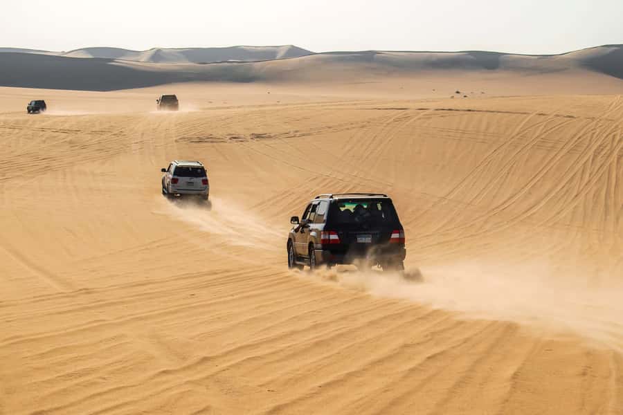 Cairo: 3-Day Siwa Oasis Tour, Safari, Camp & Historical Site - Who should book this Siwa trip