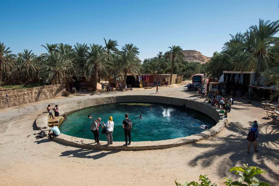 Cairo: 3-Day Siwa Oasis Tour, Safari, Camp & Historical Site - First views of Siwa: water, palms, and Fatnas Island