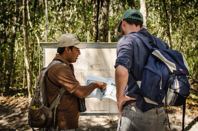 Calakmul Ancient Maya City Tour - From Campeche - The guide can make or break the experience