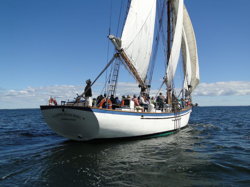 Camden: Historic Schooner Day Sailing Trip - Is $59 a good value?