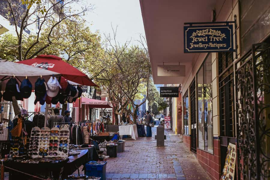 Cape Town: Art, Culture & History Walking Tour - The Company’s Garden and the Slave Lodge