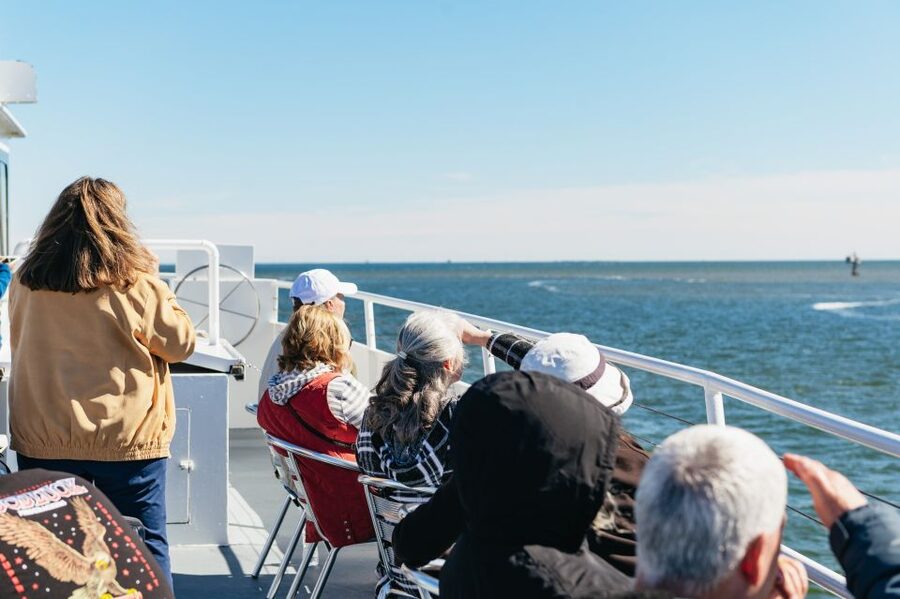 Charleston: Daytime or Sunset Historic Harbor Cruise - The Ravenel Bridge and Charleston’s modern view