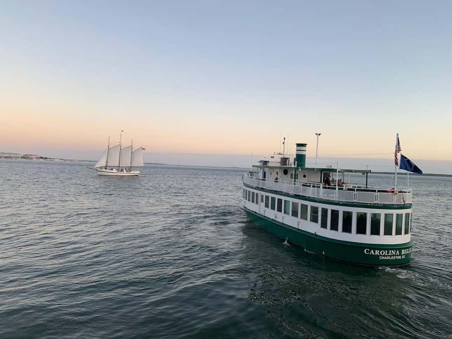 Charleston: Daytime or Sunset Historic Harbor Cruise - Wildlife: dolphins, pelicans, and a little luck
