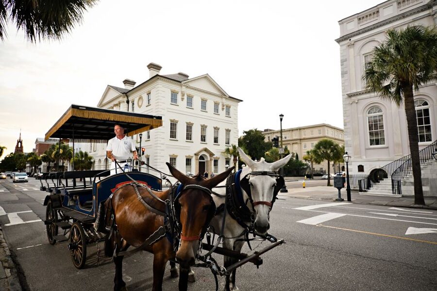 Charleston:Evening Haunted History Horse-Drawn Carriage Tour - Four Corners of Law and Charleston’s Public Face