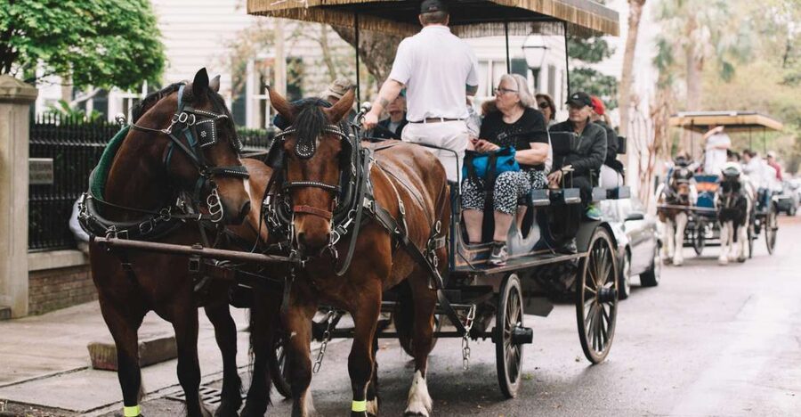 Charleston:Evening Haunted History Horse-Drawn Carriage Tour - Waterfront Park, Churches, and Eerie Graveyards