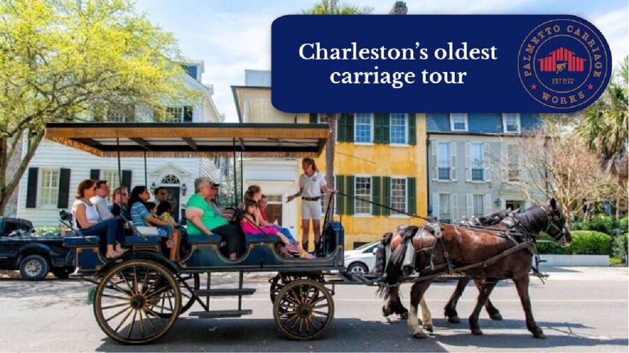 Charleston:Evening Haunted History Horse-Drawn Carriage Tour - Who Will Enjoy This Charleston Tour?