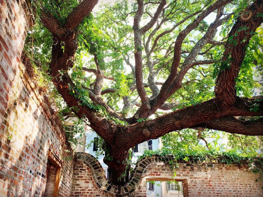 Charleston: Hidden Alleys and Historic Sites Walking Tour - Should you book the Charleston alley walk?
