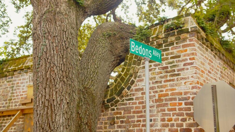 Charleston: Hidden Alleys and Historic Sites Walking Tour - Rainbow Row and Charleston’s famous main streets
