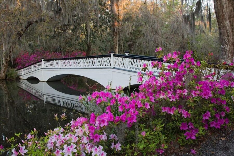Charleston: Historic City Tour & Magnolia Plantation Combo - Who should choose this combo?
