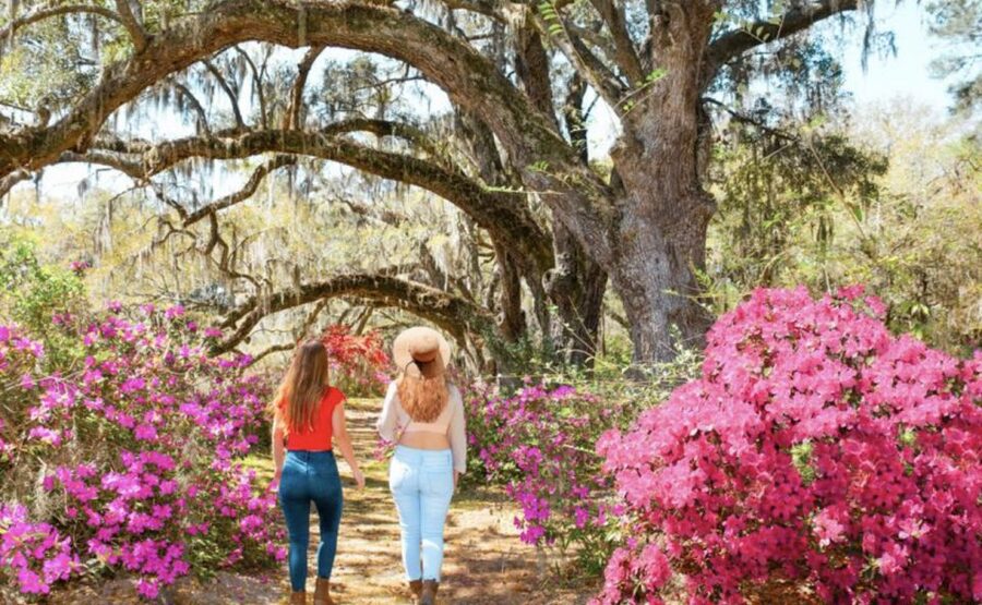 Charleston: Historic City Tour & Magnolia Plantation Combo - The 30-minute nature tram through Audubon swamp gardens