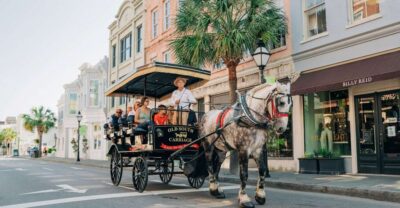 Historical Downtown Tour by Horse-drawn Carriage