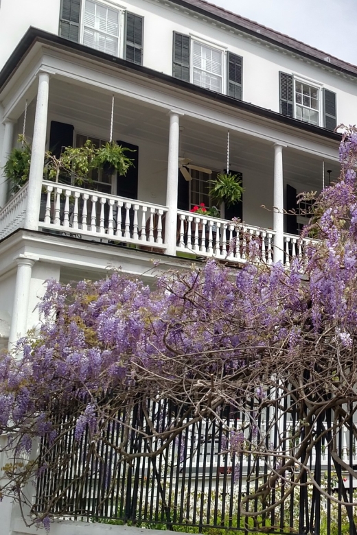Charleston: Historical Walking Tour with Storytelling - Why this two-hour Charleston walk earns its price