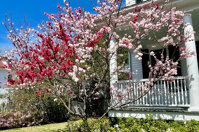 Charleston History Tour / - A compact introduction to Charleston at 80 Broad Street