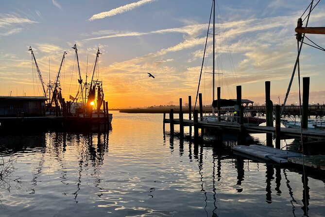 Charleston History Tour / - Rainbow Row and the city’s painted waterfront houses
