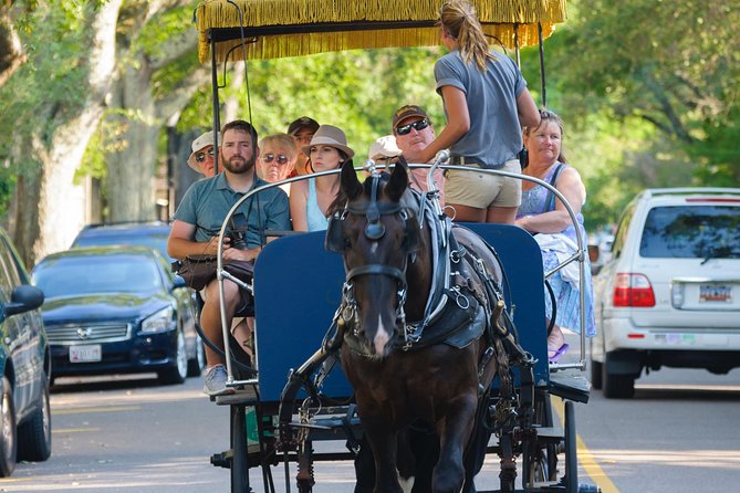 Charleston Horse & Carriage Historic Sightseeing Tour - Why a carriage is a smart first look at Charleston