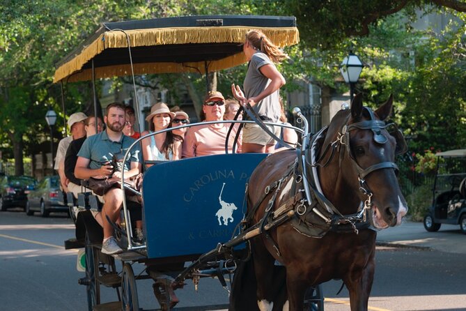 Charleston Horse & Carriage Historic Sightseeing Tour - Nathaniel Russell House and Charleston’s grand homes