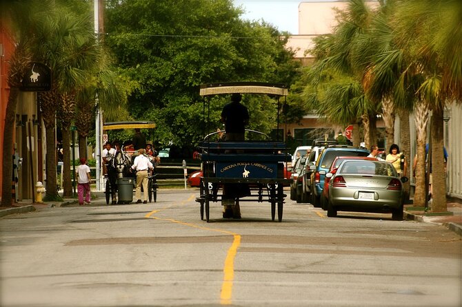 Charleston Horse & Carriage Historic Sightseeing Tour - The guides make or break the hour