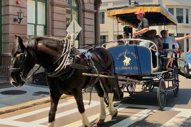 Charleston Horse & Carriage Historic Sightseeing Tour - The horses are part of the appeal