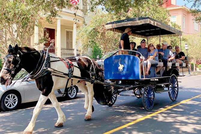 Charleston Horse & Carriage Historic Sightseeing Tour - Starting at 45 Pinckney Street and the City Market