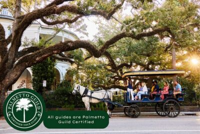 Charleston Horse-Drawn Carriage Tour: Explore Historic Charleston