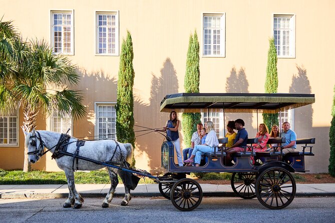 Charleston Horse-Drawn Carriage Tour: Explore Historic Charleston - Stories that connect pirates, war, and daily life